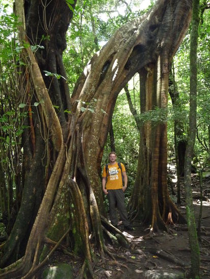 im Nationalpark Rincon de la Vieja