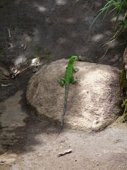 Begegnungen auf dem Wanderweg