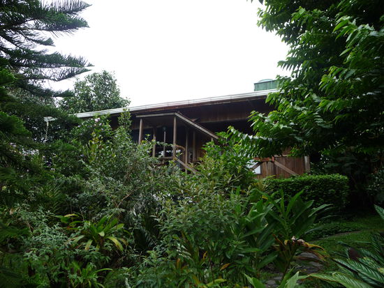 unsere Unterkunft von vielen Pflanzen versteckt