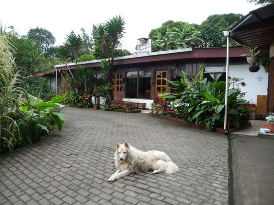das Restaurant mit den leckeren Röstis