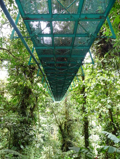 Hängebrücke von unten