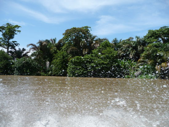 spritzige Bootstour nach Tortuguero