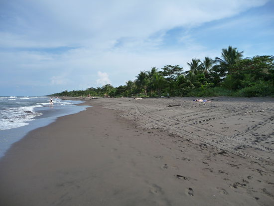 An den Strand durfte man nur tagsüber gehen. Wenn es dunkel wurde, wurde er gesperrt, damit die Schildkröten nicht beim Eier legen gestört werden.