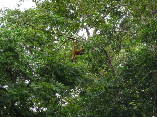 mal chillig rumhängen