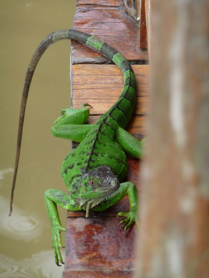 beim Cola trinken haben wir auch noch netten Besuch bekommen