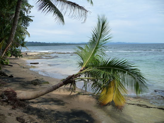 im Nationalpark Manzanillo