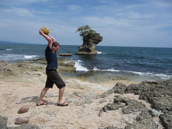 die Art eine Kokosnuss zu knacken, wenn man sonst nix zum Knacken hat