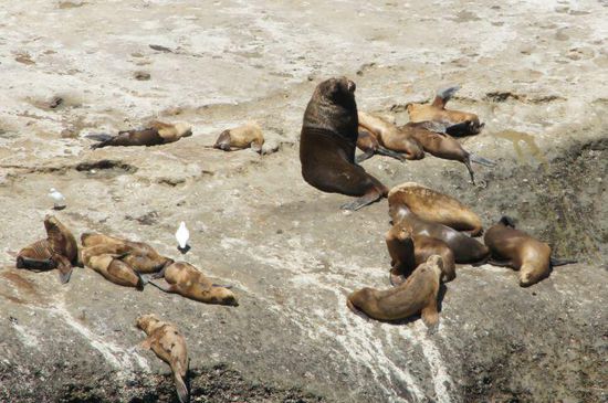 Ein Sonnenbad tut gut