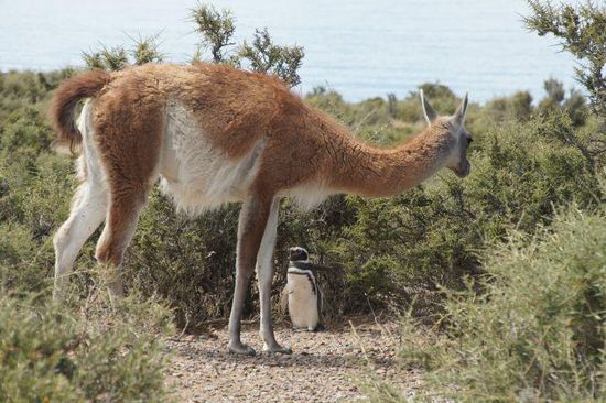 Zwei die sich vertragen 