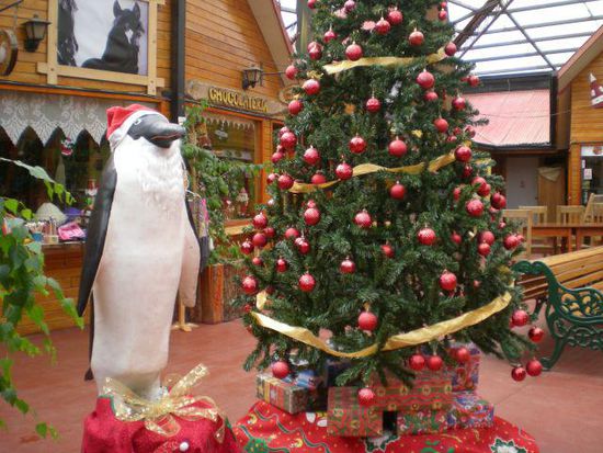 auch Pinguine Feiern Weihnachten