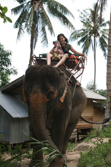 Elefanten"safari"....
würde ich nicht mehr machen... mir taten die Tiere furchtbar leid und Lukas hatte nach 20 Minuten keine Lust mehr. Für mich war es auch recht anstrengend mich, das Kind und meine Tasche+Kamera festzuhalten...war schon mal ein Erlebnis, einem Elefanten so nahe zu sein und diese Art zu reisen anzutesten, muss aber kein zweites Mal sein.