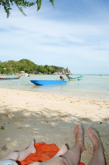 Nickerchen im Schatten