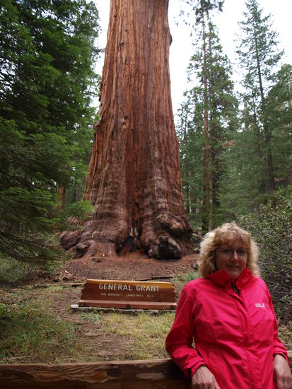 Jutta und der Grant Tree