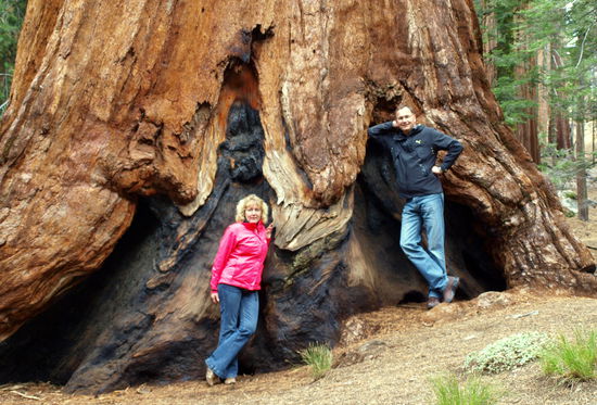 Das Feuer hat nur ein paar schwarze Flecken hinterlassen