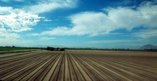 Frisch bestelltes Feld