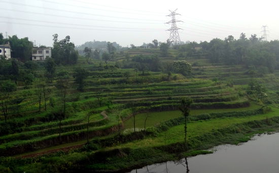 Terassenförmige Felder