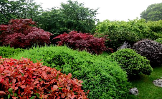 Am Gelände der Teeplantage