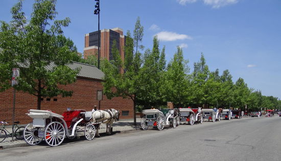 Die Kutschen warten schon