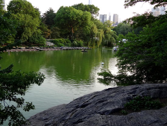 Abends haben wir dann den Central-Park besucht.