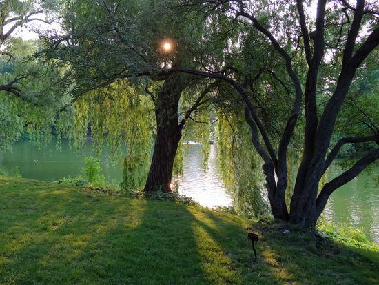Er hat Hügel, Felsbrocken, Seen und Flächen zum Ausspannen. Außerdem Wander- und Joggingwege
