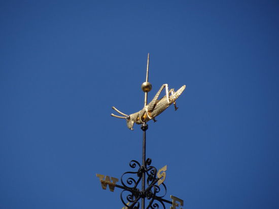 Der Wetterhahn in Boston