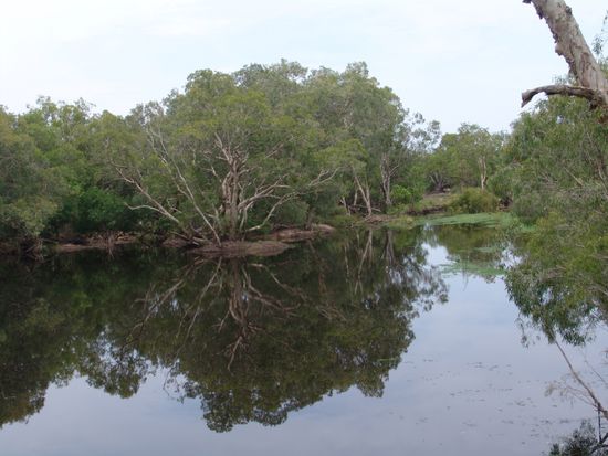 Kakadu NP
