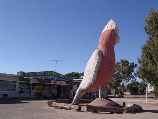 Half Way Across Australia!