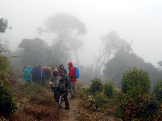 Wanderung zum Mt. Victoria