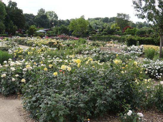 Internationale Gartenschau HAMBURG
