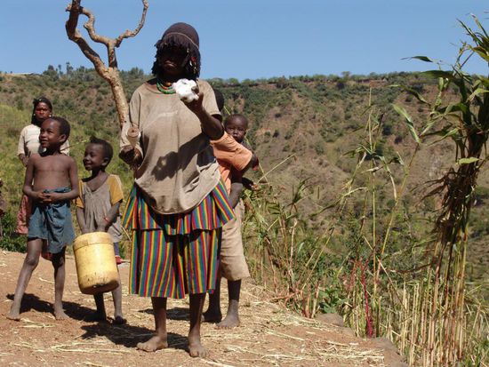 Nach einer kurzen Weiterfahrt erreichen wir Mecheke und wandern von dort aus weiter nach Mechelo. Typisch für das Konso-Gebiet sind die Steinterrassen, die von Frauen gebaut und instand gehalten werden. An den Hängen wird viel Hirse und auch Teff angebaut. Auf den zum Teil steilen und schmalen Wegen machen wir Bekanntschaft mit Einheimischen, welche unterwegs zu den Feldern sind. Dank unserem einheimischen Führer bekommen wir auch viel Wissenswertes über die Dörfer mit.