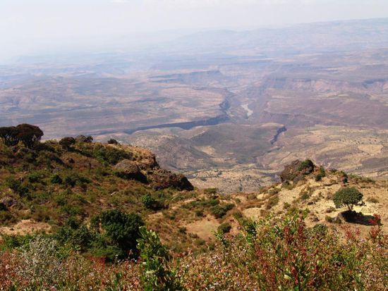 Auf der Weiterfahrt zur Schlucht des Abay (Blauer Nil) bietet die Strasse ein unglaubliches Naturschauspiel, bis man an  den Canyon kommt, in dem der Fluss fliesst. Am Fusse der Schlucht ist es heiss und stickig - bis 40 C. Für alle Fahrzeuge ist die Schlucht eine Tortur, denn die Strasse führt im Wesentlichen noch dem Verlauf der zur Zeit der italienischen Besetzung angelegten Strasse. Die Fahrzeuge schrauben sich im Schneckentempo die Schlucht hinunter und wieder hinauf. Autowracks am Wegesrand künden von weniger glücklichen Versuchen. Nach dieser anstrengenden Fahrt essen wir mit unserem Chauffeur ein gutes Mittagessen, bevor wir weiterfahren nach Finoteselam zum Übernachten.