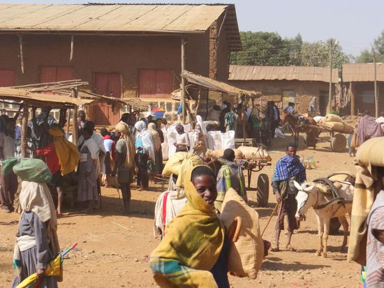 Heute geht die Fahrt nach Bahir Dar am Tana-See. Unterwegs machen wir halt in einer Ortschaft wo gerade Markttag ist. Da hier keine Buse mit Touristen halten, werden wir von den Marktleuten bestaunt und können ungehindert das Markttreiben geniessen.