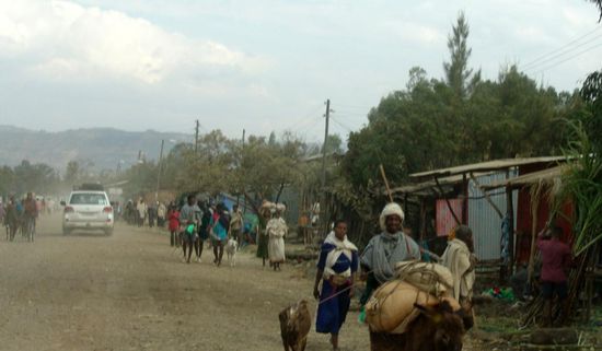 In Bahir Dar buchen wir im Hotel für 2 Nächte.  Nachmittags fährt uns unser Fahrer 35 km auf staubiger Naturstrasse zu den Blue Nil-Falls. In Tis Abay müssen wir uns einen einheimischen Führer nehmen und Eintritt bezahlen. Danach werden wir per Boot über den Nil gebracht und wandern durch Felder bis zu den Nil-Falls. Das Wasser stürzt sich 45 m, auf einer Breite von 400 m, in die Tiefe.