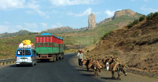 Von Bahir Dar bis Gondar sind es 183 km. Während der Fahrt sehen wir die typischen äthiopischen Rundhütten aus Lehm oder Stein mit einem Strohdach. Die Bauern pflanzen in den mittleren Lagen das traditionelle Getreide Teff an, auf höher gelegenen Feldern Weizen, Gerste und Hafer. Selbst steile Berghänge werden im Gebirge zum Anbau genutzt.