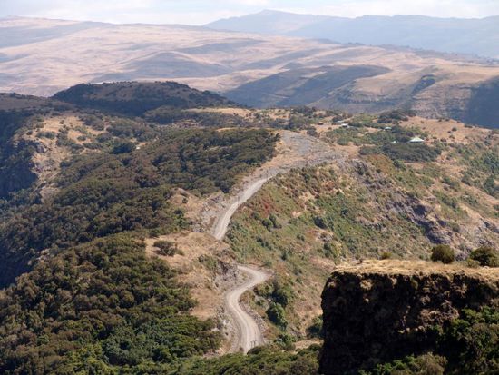 Die Weiterfahrt von Gondar bis Debark, zum Ausganspunkt für den Besuch des Simien Nationalpark, dauert 3 Std. In Debark müssen wir eine Bewilligung lösen, einen Führer und einen Bewaffneten Begleiter bezahlen, für die Fahrt in den Nationalpark. Die beiden Personen müssen in unserem Auto untergebracht werden. Danach geht die Fahrt in den Park los. Der N.P. ist 179 qkm gross und liegt auf einer Höhe zwischen 2000 und 4430 m. Weite Hochplateaus wechseln sich hier mit steil abfallenden Schluchten ab. Hier wird uns klar, warum dieses Land auch als "Dach Afrikas" bezeichnet wird. Viele Gipfel des Simien-Gebirges erreichen 4000 m, der Gipfel des Ras Dashen, höchster Berg Äthiopiens und vierthöchster Afrikas, liegt bei 4550 m. Unterwegs sehen wir einige Familien von Blutbrustpaviane, sowie Bartgeier.