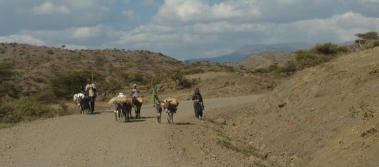 Auf einer wunderschönen Fahrt durch die herrliche Landschaft erreichen wir gegen Abend die Hauptstadt der Provinz Tigray, Mekele. In Sichtweite des Palastes des Kaisers Yohannes IV  1884, finden wir eine Unterkunft für die Nacht und geniessen einen schönen Abend auf der Hotelterrasse.
Von Mekele nach Lalibela sind es 279 km, wovon die letzten Kilometer Schotterstrasse ist. Schon während der Anfahrt sind wir beeindruckt von den fantastischen Bergpanoramen mit gewaltigen Tafelbergen und grünen Tälern. Lalibela liegt etwa 2500 m über dem Meeresspiegel und erstreckt sich an den Hängen der Berge von Lasta, dominiert von dem 4190 m hohen Abuna Yosef.