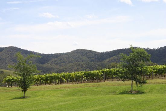 Hunter Valley