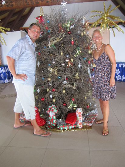 Ein Fiji Weihnachtsbaum....ratet mal was fehlt???.....