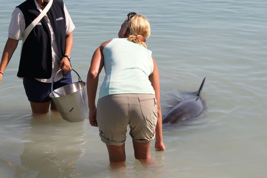 Claudia bei der Fütterung von "Pak".