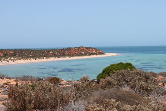Cape Peron. Ein Traumort an der Shark Bay. Subtropische und kühle Gewäser treffen aufeinander. So auch die Tiere! Von blossem Auge kann man  Mantas, Haie, Schildkröten, Wasserelephanten und Delphine sehen.