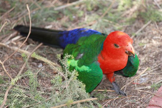 Schaut euch diese Farben an.........