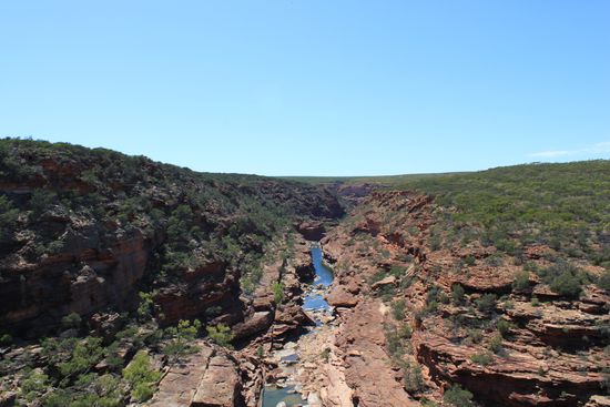 Kalbarri NP Unglaubliche Hitze