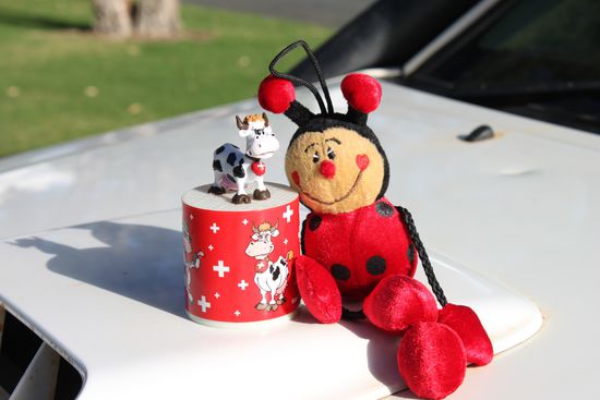 Den Glücksbringern Wilma und Maya geht es gut!