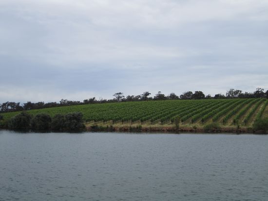 Weingebiet Margaret River