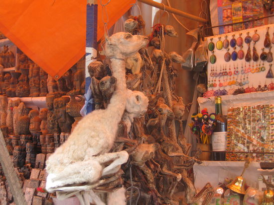 tja, auch sowas findet man auf dem Markt:
getrocknete und dadurch geschrumpfte Lama-Phoetusse, gibts uebrigens in allen Varianten, weiss, schwarz, gross, klein, mit Haaren, ohne, usw.