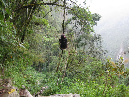 der weg ins tal wurde verschiedenartig gemeistert, dieser teil mit der heilen liane war noch ein guter spass 