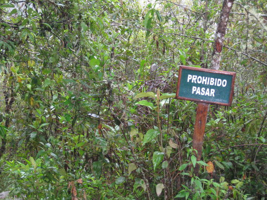 einen erfahrenen indianer und seinen weissen bruder haelt sowas laengst nicht von einer kleinen wanderung ab, wenn sie einmal die abenteuerlust gepackt hat!