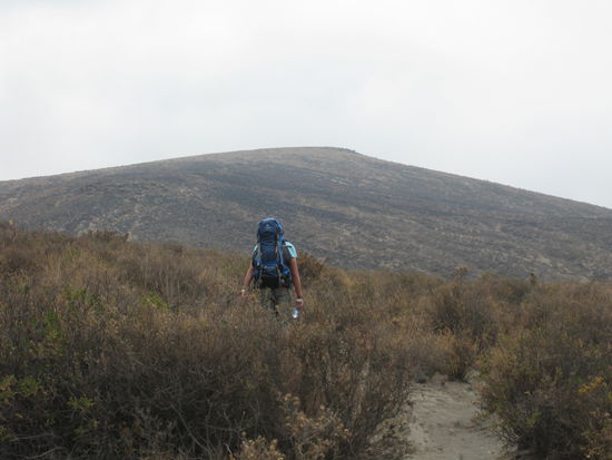 Auf und ab und hin und her und noch nicht mal am eigentlichen Fuss des Berges