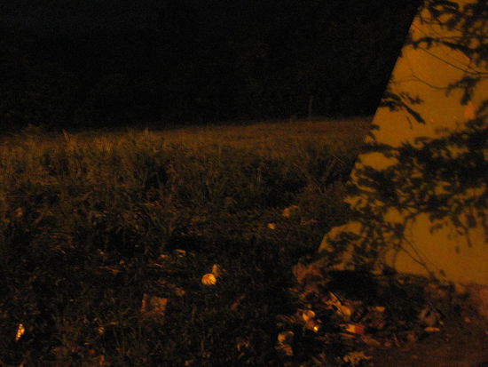 das war der fantastische Ausblick auf der anderen Seite der Bushaltestelle. Da ist echter Dschungel, ich schwoers,sieht man nur gerade nicht!