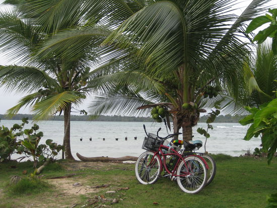 mit dem reggae-beach-cruiser an den palmenstrand der karibik, gechillter kann man den heiligen abend nicht verbringen